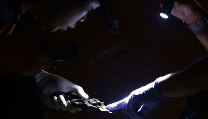 8 robbery, drug suspects shot dead