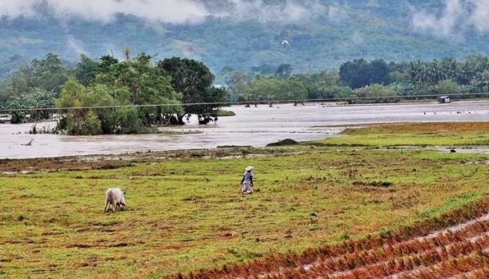 GSIS allots P11-B loan for typhoon victims