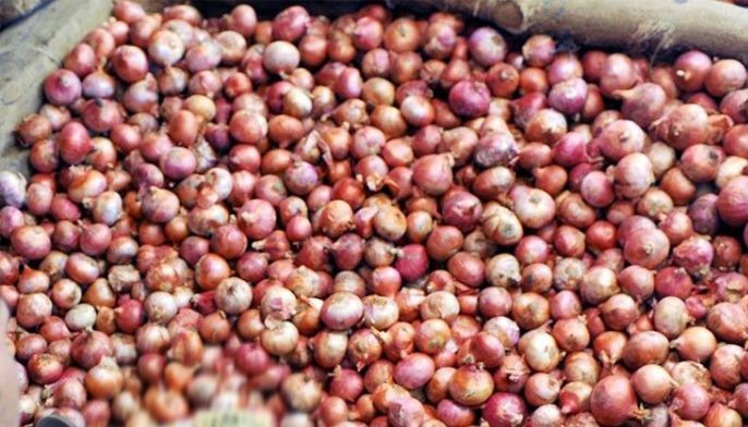 Onion farmers affected by armyworms to get aid