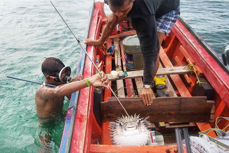 6 fishers cleared of dynamite fishing