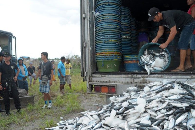 Fish kill bangus traders charged