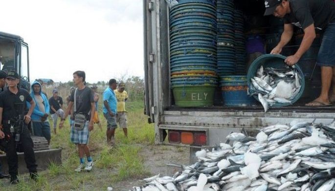 Fish kill bangus traders charged