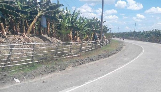 Public roads near Tadeco opened