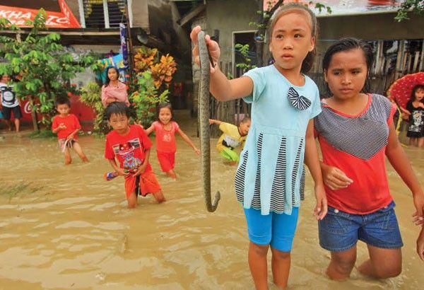Heavy rains, strong winds: Bad weather kills 3 persons