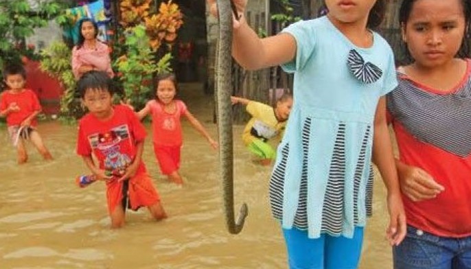 Heavy rains, strong winds: Bad weather  kills 3 persons