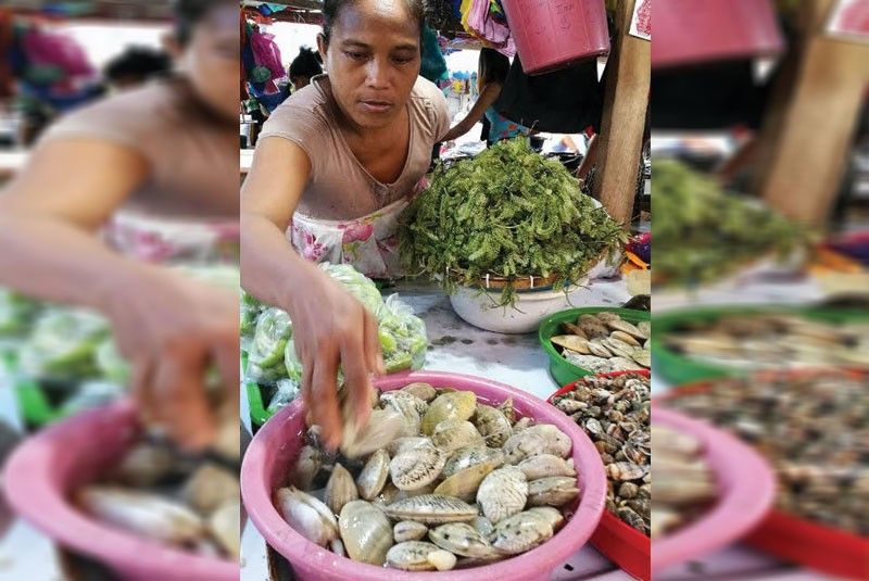 Shellfish from Bohol not safe for consumption â�� BFAR