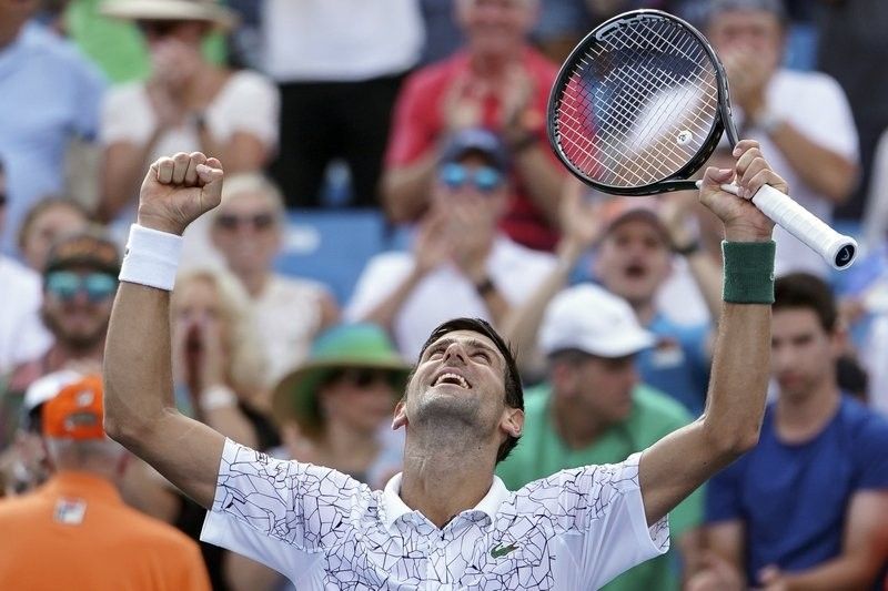 Djokovic into Cincinnati final, Federer in his way again