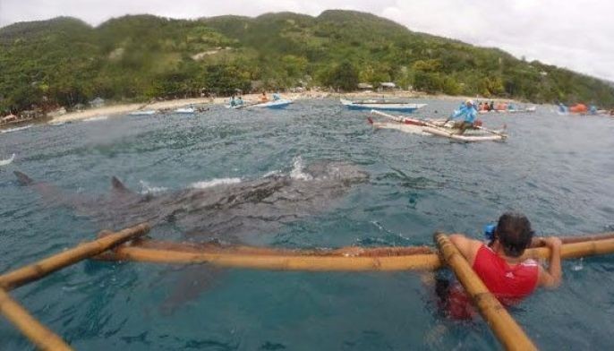 Resort owners urged: Follow the law
