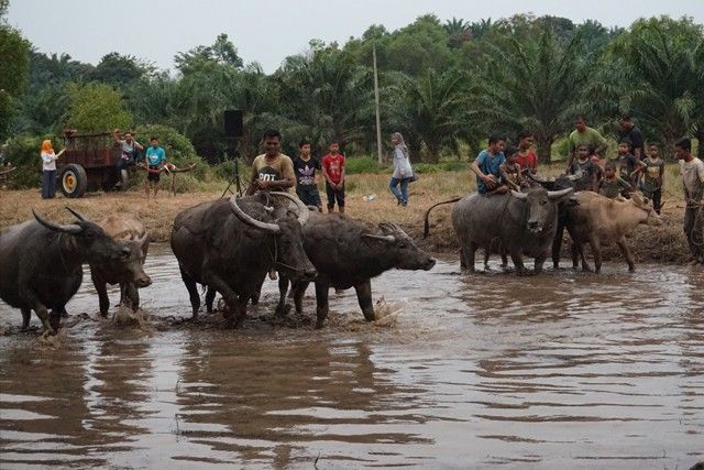 Experiencing Melakaâs traditional village âKampung Balik Bukitâ the Malay way