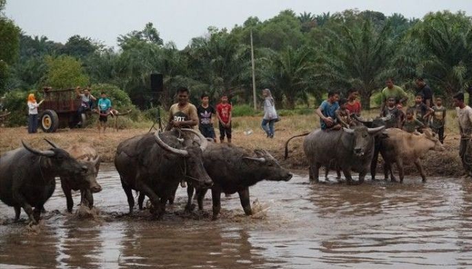Experiencing Melaka&rsquo;s traditional village &lsquo;Kampung Balik Bukit&rsquo; the Malay way