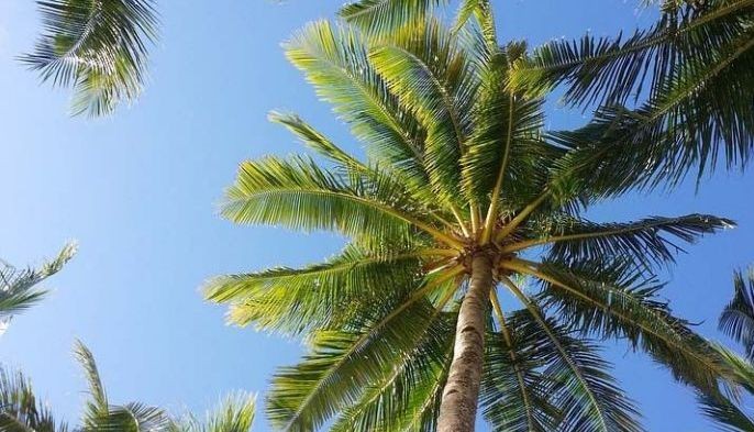 Still not dry &lsquo;summer&rsquo; season, Pagasa says