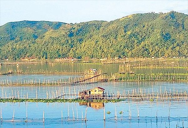 PCCI supports ban on fishing permits for Laguna Lake