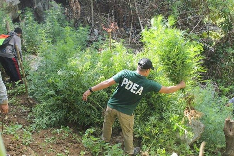 P13.6 million shabu, marijuana seized