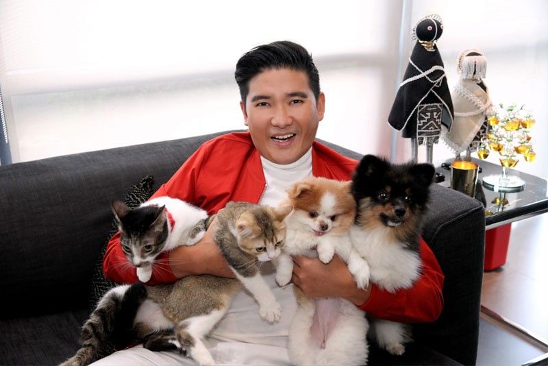 For Tim Yap, raising pets is an important event