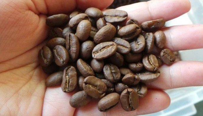 Cordillera seeks to revive coffee industry