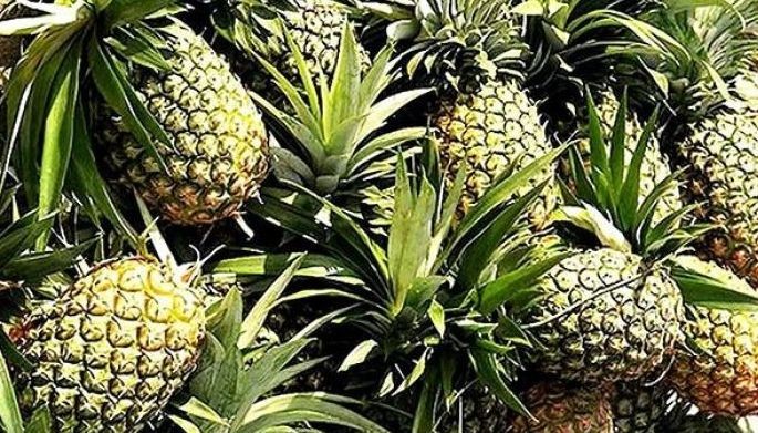 Korea open to lifting tariff on Philippines agriculture products