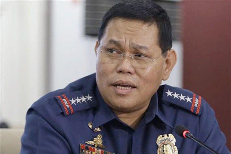 Former Police Chief Alan Purisima fails bid to junk perjury raps