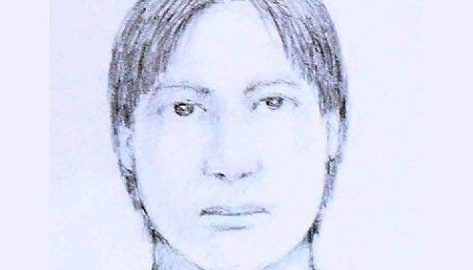 Manhunt on for road rage suspect