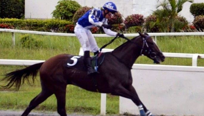 Victorious Colt claims Triple Crown 3rd leg