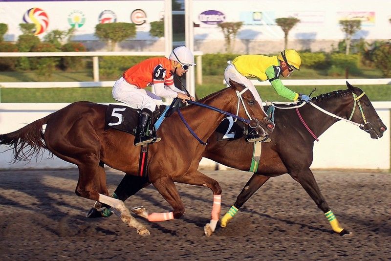 Unbeaten imports clash in Cojuangco stakes race