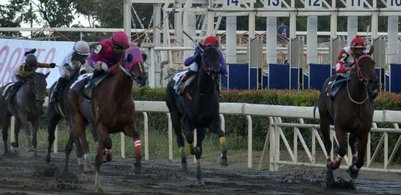 Gepnits, Obra Maestra crowned Juvenile Stakes champs