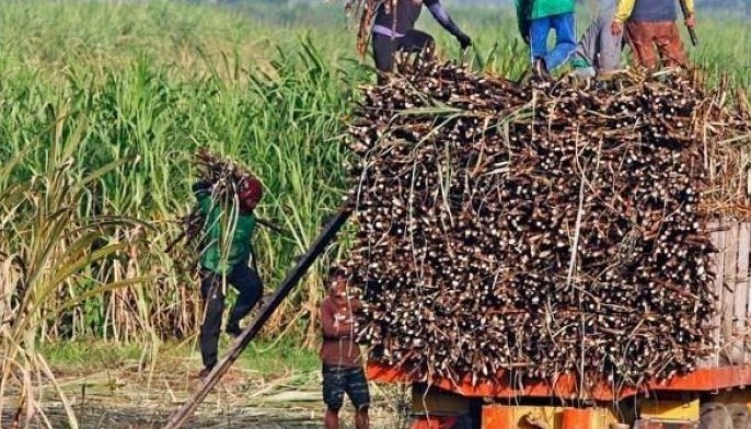 Sugar supply down 10%