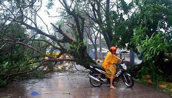 Isabela, Cagayan, Kalinga at Apayao nasapol... Bagyong Lawin hataw sa Signal No.5