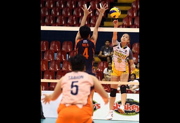 Tigresses eye No. 5 vs Transformers