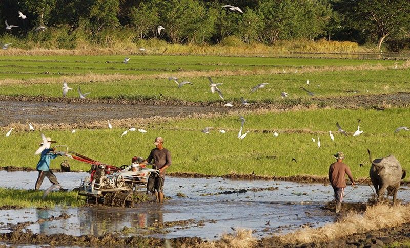 Agriculture trade down 4% to $4.19 B in Q4