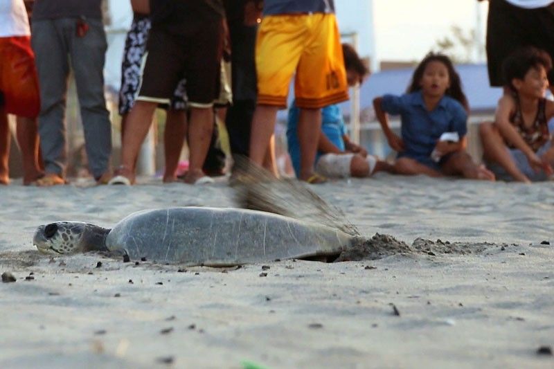 A VIP visits La Union