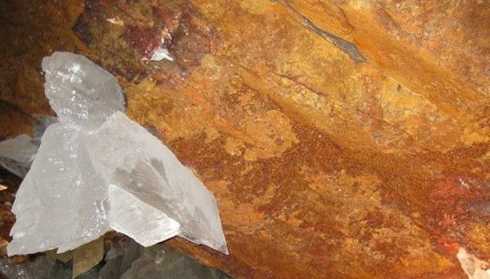 Biologists find weird cave life that may be 50,000 years old