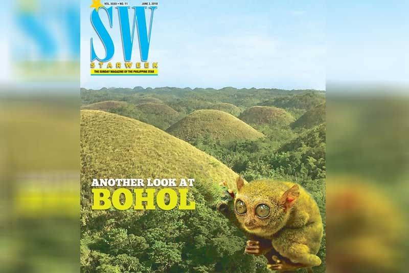 Another Look at Bohol