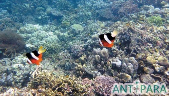 Mapping The Underwater World