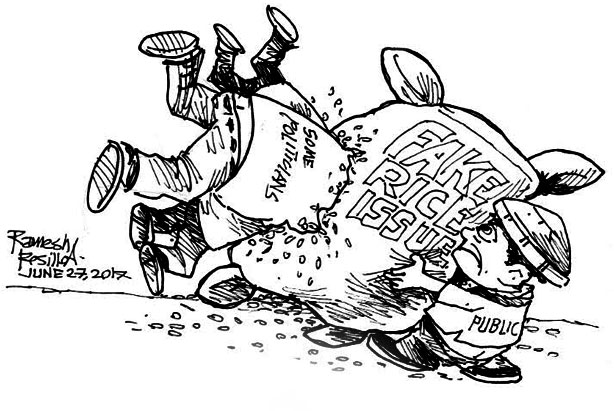 EDITORIAL - There is no fake rice