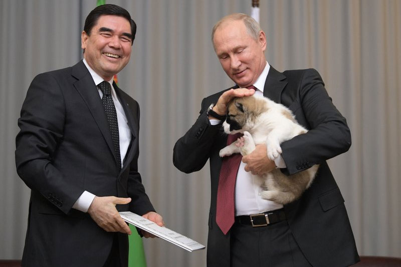 Russiaâ��s dog-loving leader gets another puppy as gift