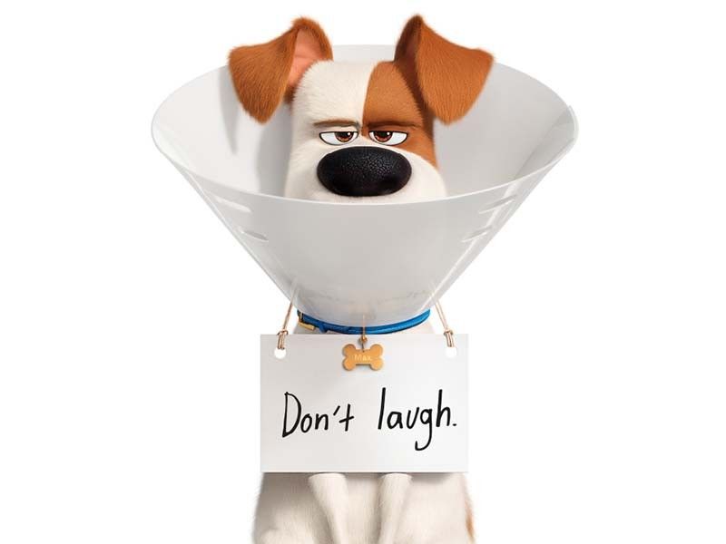 Hero dog Max takes trip to the vet in 1st “The Secret Life of Pets 2