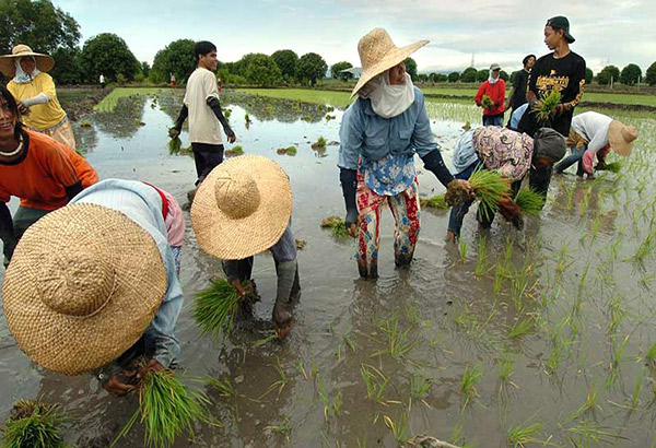 Mga magsasaka mula sa C. Luzon nagmartsa vs pagkapaso ng CARP
