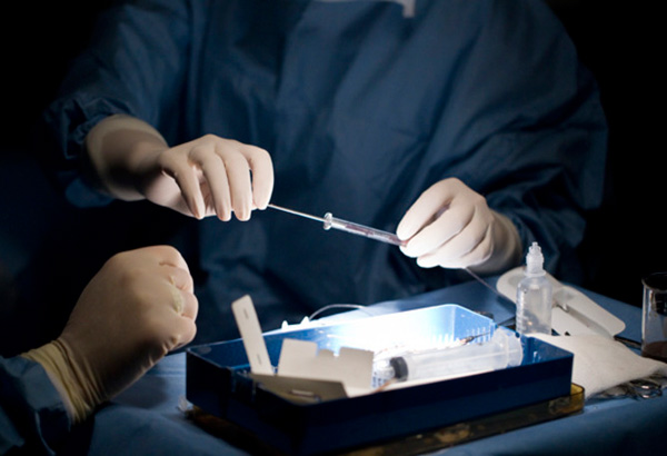 DAP ginastos din sa research ng stem cell
