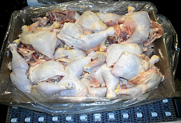 Chicken prices decline amid bird flu fear