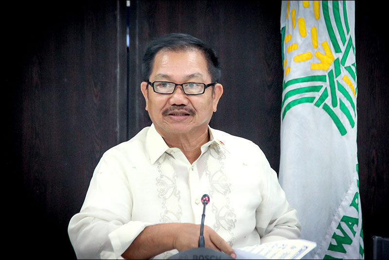 PiÃ±ol backs P3 hike in palay buying price