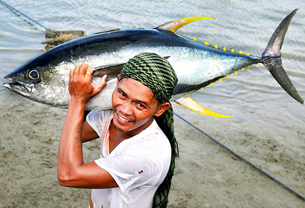   Phl seeks continued access  to high seas tuna fishing ground    