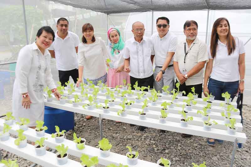 DA, Aboitiz Group team up for backyard farming program | Philstar.com