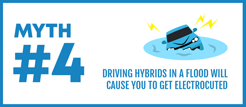 Truth or myth? Let’s see how many of these hybrid myths can you bust