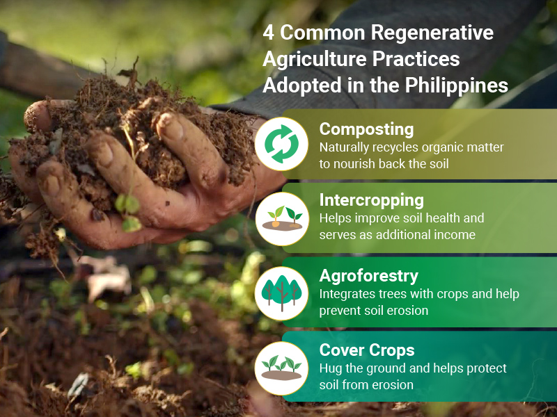 How regenerative agriculture is helping build resilience of Filipino ...