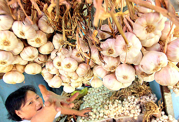 DA to blacklist 43 traders for failing to import enough garlic