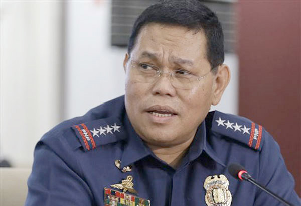PNP chief denies owning 10-hectare land