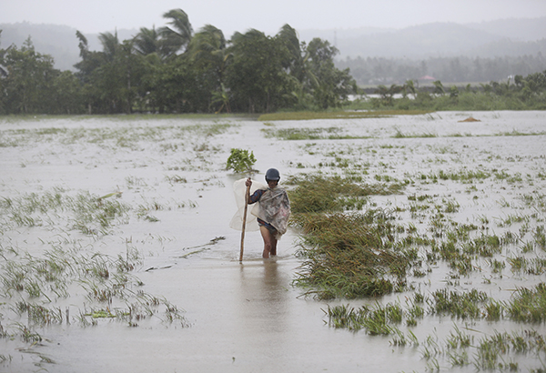 NDRRMC: 11 confirmed dead in 'Ruby' aftermath
