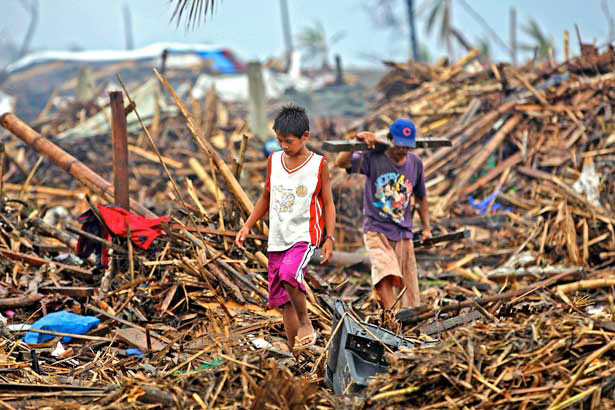 &lsquo;Use coco levy funds for typhoon-hit areas&rsquo;