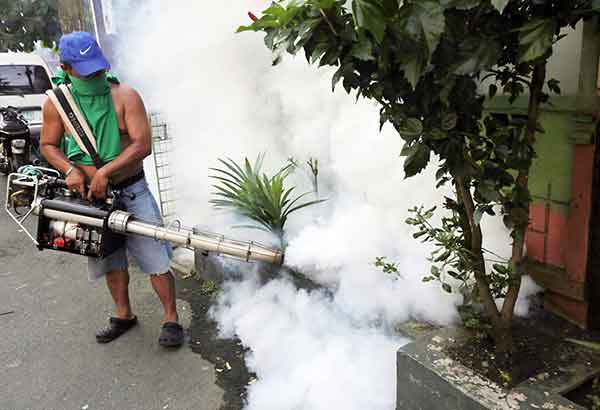 Dengue cases on the rise in 7 regions