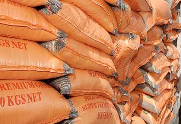 2 PPA execs face graft raps over missing Vietnam rice